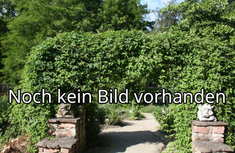 Goethebrunnen / Hermann und Dorothea Brunnen, Bad Elster