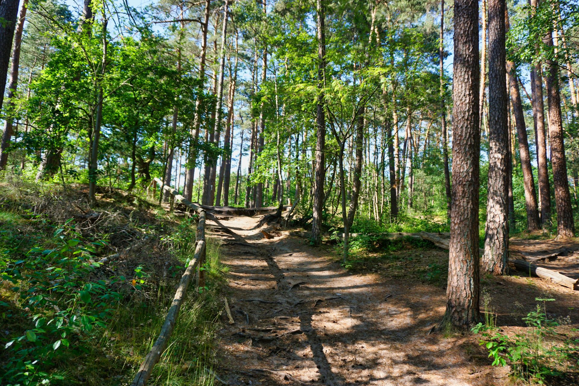 Fotos EmsQuellen - Wanderweg-Emsquellen8.jpg