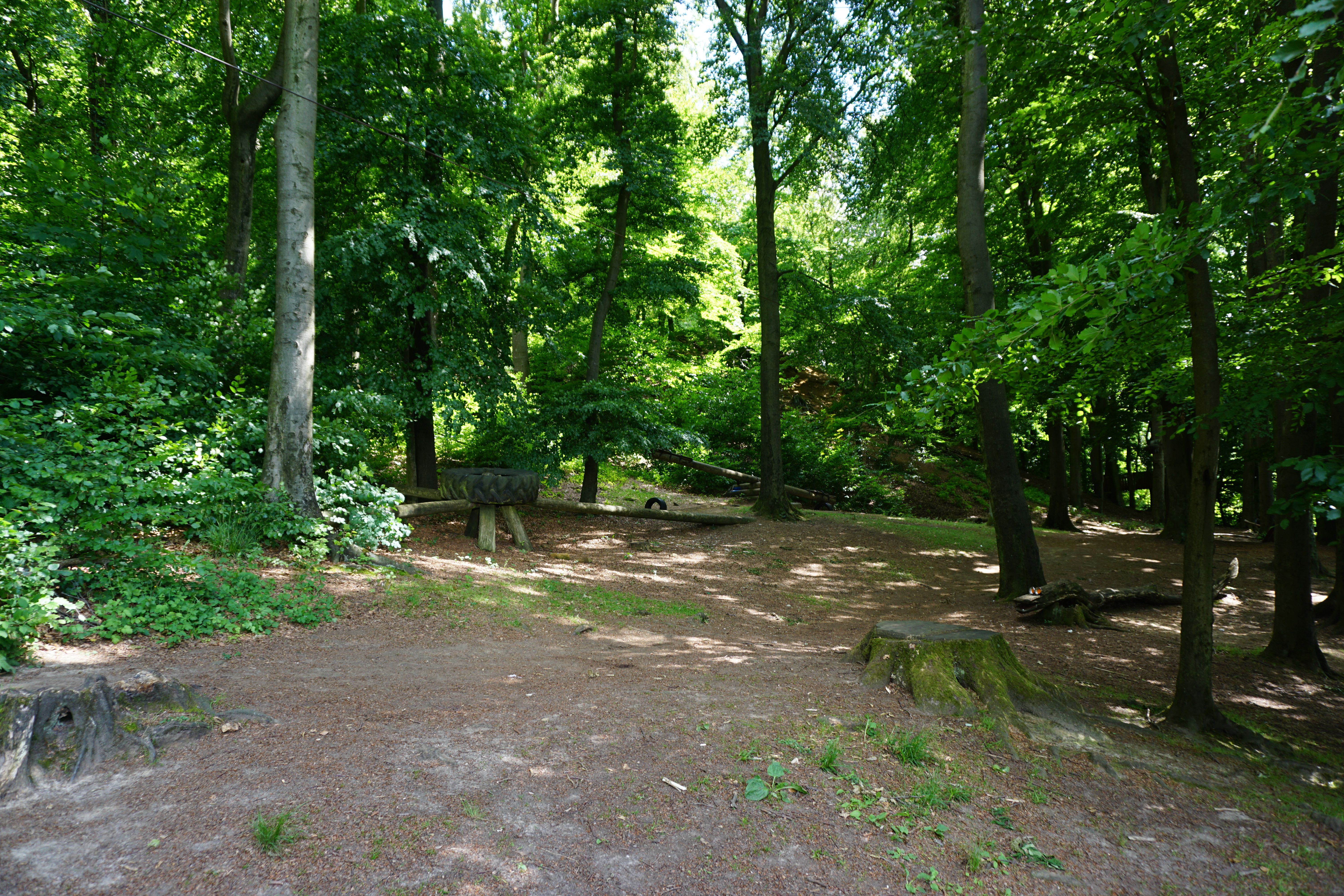 Waldspielplatz mit Spielhaus und Spielwiese, Lagerfeuer- und Grillplatz am Haus Ascheloh, Halle (Westfalen).
