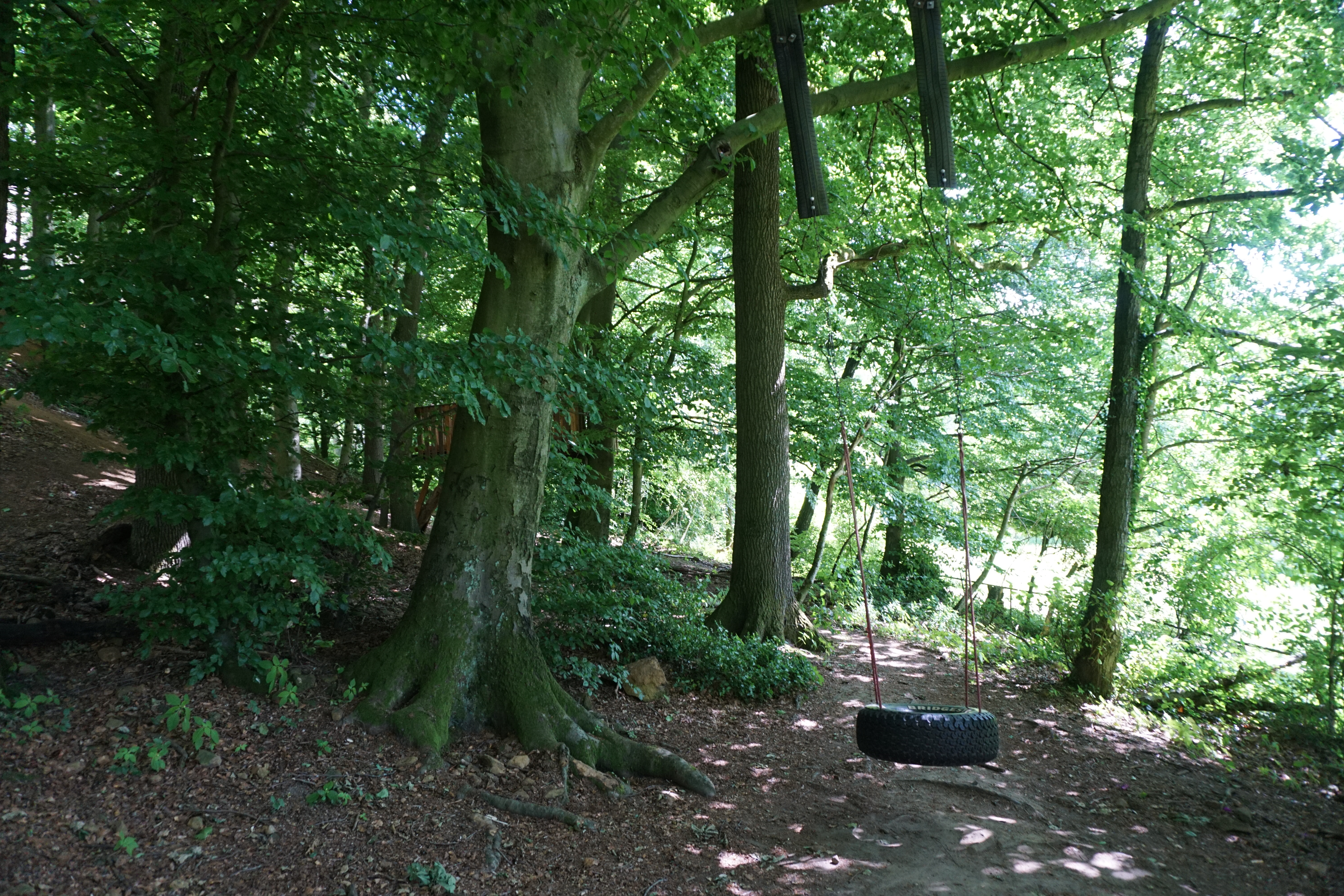 Waldspielplatz mit Spielhaus und Spielwiese, Lagerfeuer- und Grillplatz am Haus Ascheloh, Halle (Westfalen).
