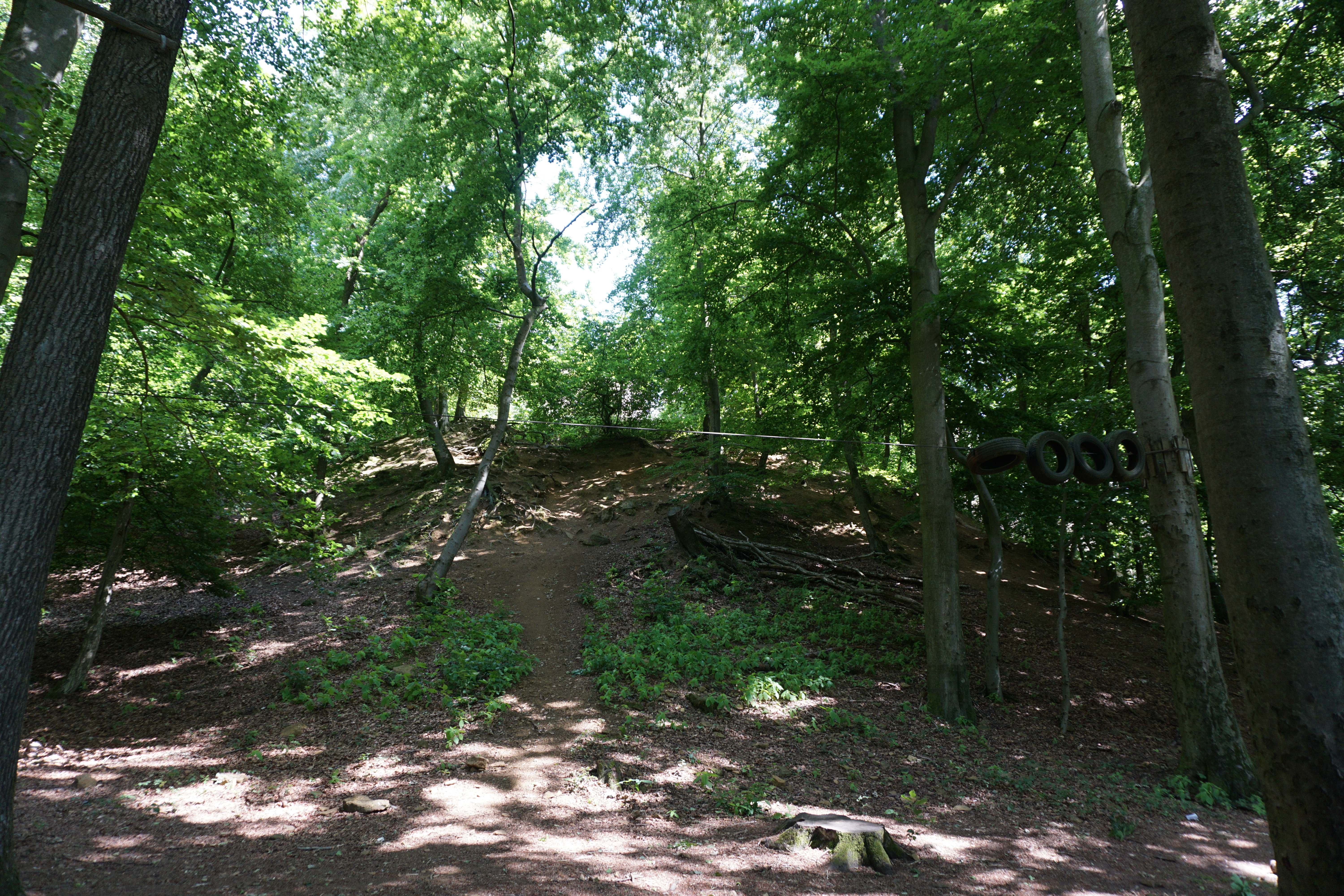 Waldspielplatz mit Spielhaus und Spielwiese, Lagerfeuer- und Grillplatz am Haus Ascheloh, Halle (Westfalen).
