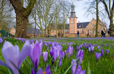 Lila in Husum – den Frühling an der Nordsee einläuten