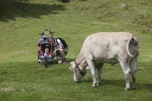 Für Familien die mit dem Nachwuchs im Kinderwagen auf die Alm möchten: