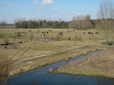 Naturerlebnis Lippe-Auenland