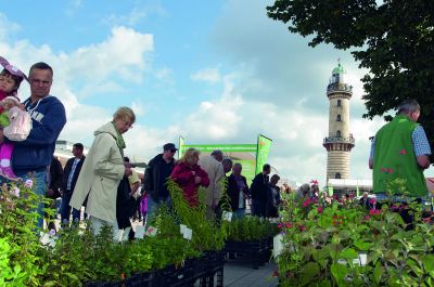 Bio-Festival mit Strandbauernhof: