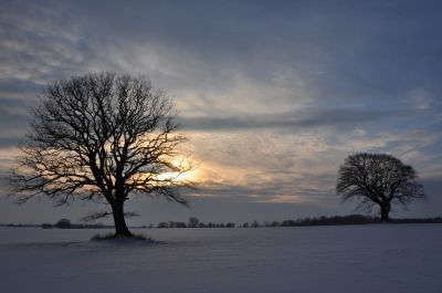 Ausflugstipp: Biiken in Bohmstedt