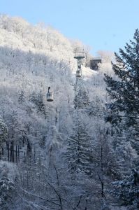 Winterzauber im weiten Wanderland