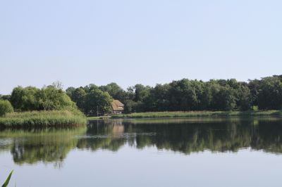 Aktiv sein und Natur erleben