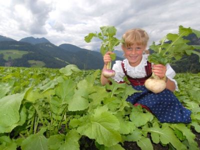 Kühe, Knollen, Köstlichkeiten: