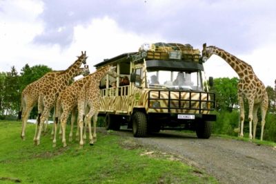 Afrika liegt direkt vor der Haustür!