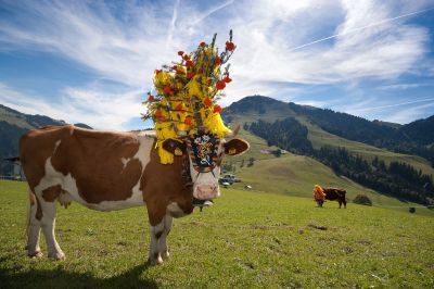 Herzlich, herbstlich, Hexenwasser!