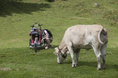 Mit dem Kinderwagen auf die Alm