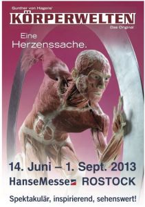 Ausstellung „Körperwelten“ ab Juni