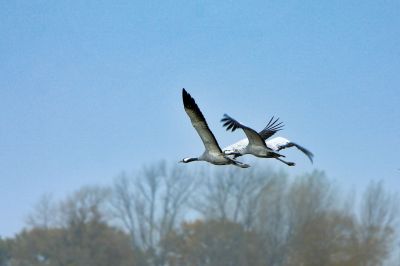 Neues Kranich Museum auf Fischland-Darß-Zingst