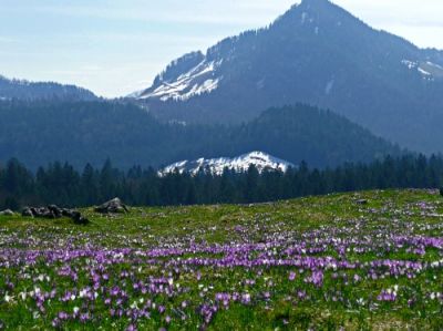 Ostern in der Region Chiemsee-Alpenland