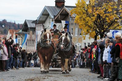 Leonhardifahrt in Bad Tölz am 6. November