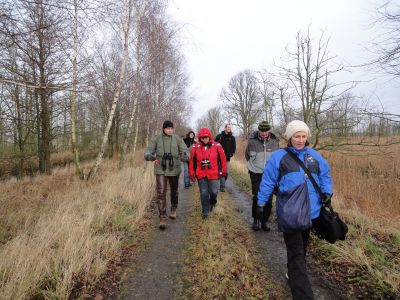 Moorwanderungen im Peenetal