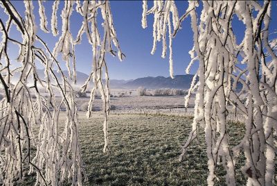 Besinnliche Vorweihnachtszeit im Alpenhof Murnau