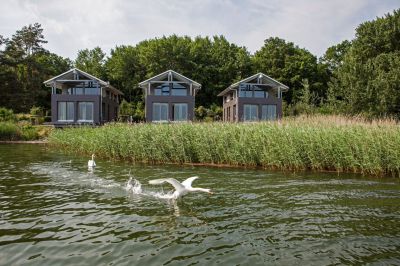 Neu auf Rügen: Naturoase Gustow