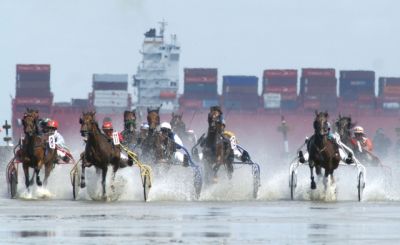 Aktivurlaub an der niedersächsischen Nordsee: