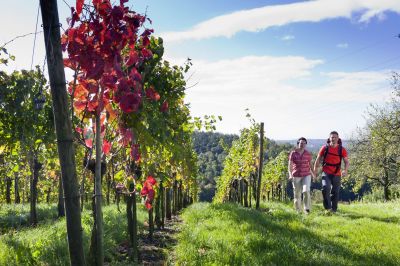 Neue Premiumwanderwege am Bodensee