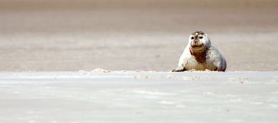 Natururlaub im Norden