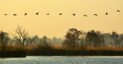 Wintererlebnisse in Niedersachsen zum Verwöhnen