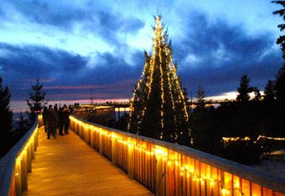 Schwimmende Weihnachtsmärkte und Waldweihnacht in luftiger Höhe