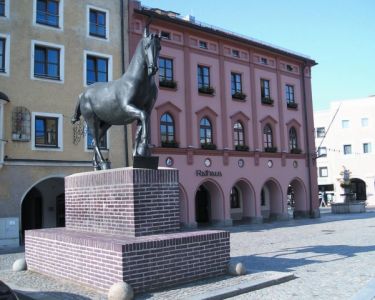 Von Rössern und Reitern