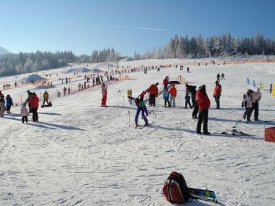 Bärenstarker Winter in Zwiesel