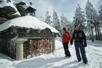 Bärentreff im Schnee: