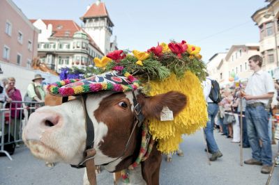 Genusswandern im Ferienland Kufstein: