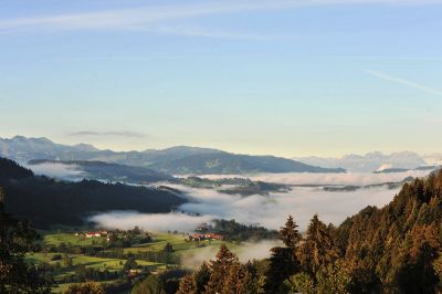 Den Hirschen beim Kämpfen und Suhlen zusehen