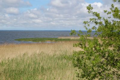 Naturpark Am Stettiner Haff