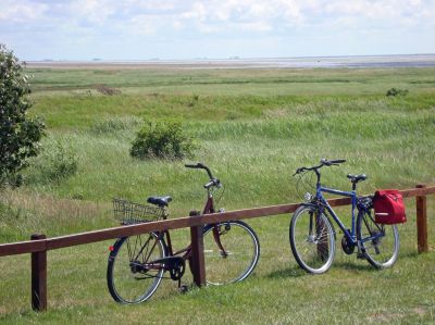 Einmal entspannt um die Hallig